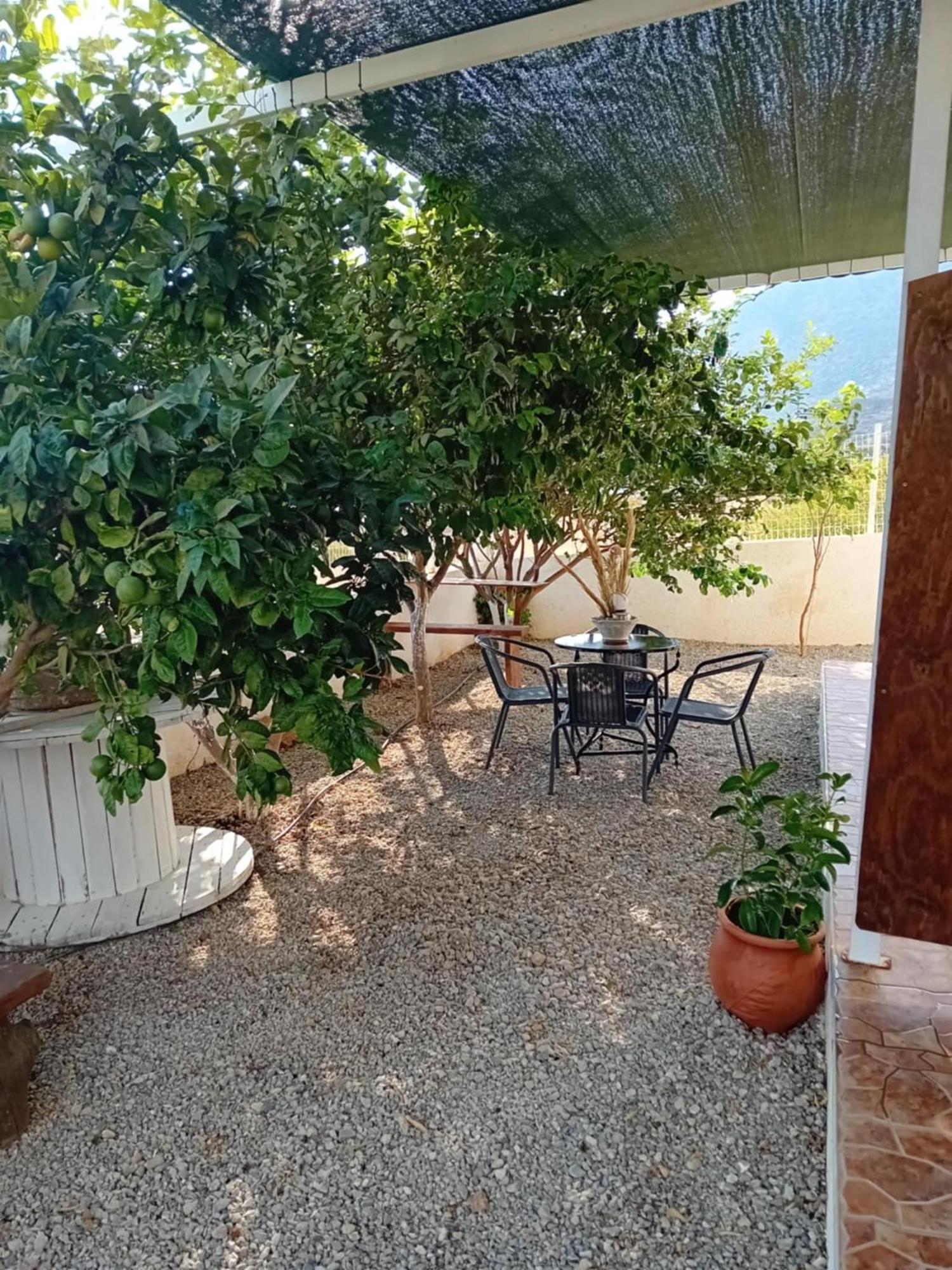 Studios Anna Maria With Sea View Kapetanianá Екстериор снимка